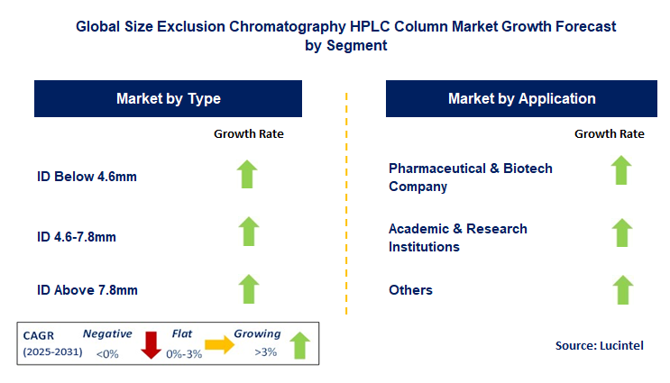 Size Exclusion Chromatography HPLC Column Market by Segment